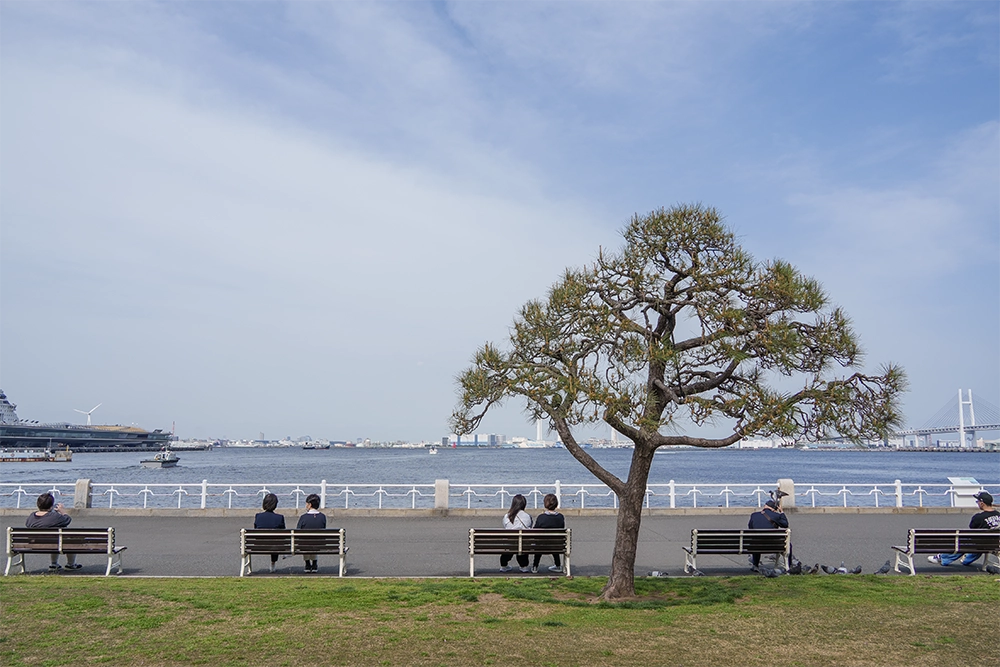 People relax by the bay in Yamashita Park in Yokohama
